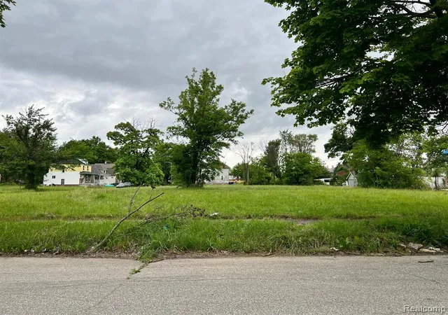 3rd image of 6502 Hartford St, Detroit, MI 48210 | MLS# 60314464