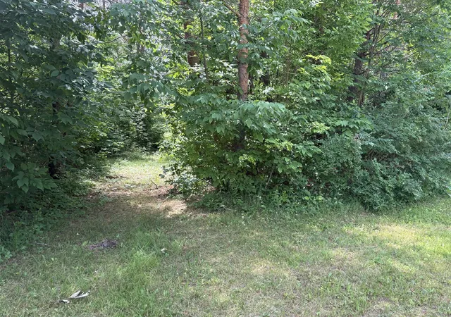 Homes for sale in Reed City, MI | Vl S 210th Ave, Reed City, MI 49677 | MLS# 70543413