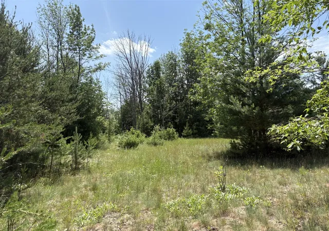 Homes for sale in Reed City, MI | Vl S 210Th Ave, Reed City, MI 49677 | MLS# 70543413