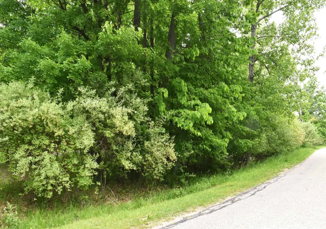Photo 1 of Land for sale at Lot 271 Islanders Way, Gladwin, MI 48624 | MLS# 50208746 | Listing updated on 2026-06-24