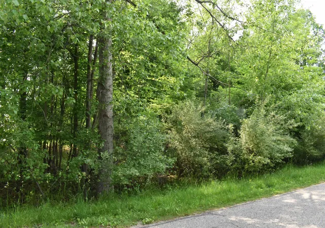 Photo 2 of Land for sale at Lot 271 Islanders Way, Gladwin, MI 48624 | MLS# 50208746 | Listing updated on 2026-06-24