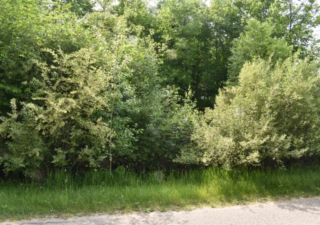 Photo 3 of Land for sale at Lot 271 Islanders Way, Gladwin, MI 48624 | MLS# 50208746 | Listing updated on 2026-06-24