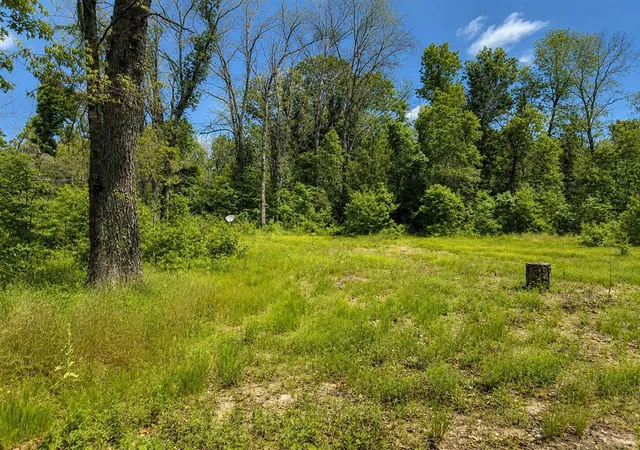Land for sale at 102 E Peoria Ave, Idlewild, MI 49642-9615 | MLS# 70541457