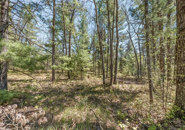 Homes for sale in Baldwin, MI | 01 Bradby Blvd, Baldwin, MI 49304 | MLS# 70513275