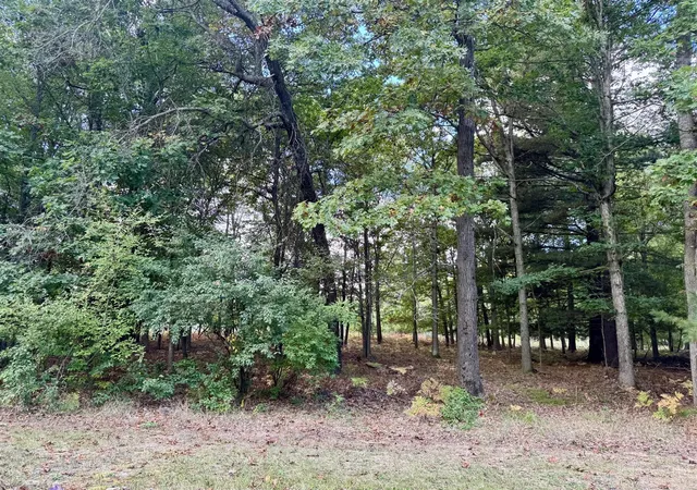 3rd image of 6485 Dunhill Dr, Stanwood, MI 49346 | MLS# 70496134