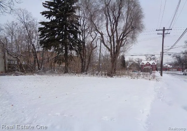 Photo 1 of Land for sale at 3104 Helen St, Detroit, MI 48207 | MLS# 60187568 | Listing updated on 2026-01-21