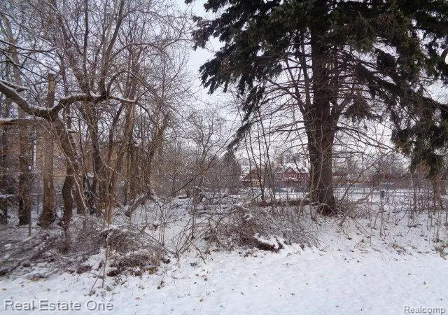 Photo 3 of Land for sale at 3104 Helen St, Detroit, MI 48207 | MLS# 60187568 | Listing updated on 2026-01-21