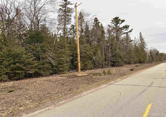 Homes for sale in Nahma, MI | Tbd Ll Rd, Nahma, MI 49864 | MLS# 50213992