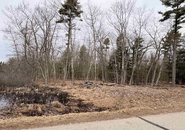 Homes for sale in Nahma, MI | Tbd Ll Rd, Nahma, MI 49864 | MLS# 50213992