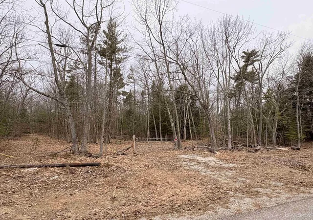 Homes for sale in Nahma, MI | Tbd Ll Rd, Nahma, MI 49864 | MLS# 50213992