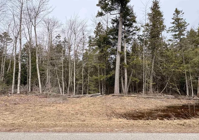 Homes for sale in Nahma, MI | Tbd Ll Rd, Nahma, MI 49864 | MLS# 50213992
