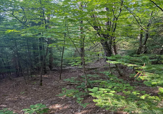 Photo 3 of Land for sale at Lot 3 (south) M 64 Hwy, Ontonagon, MI 49953 | MLS# 50218509 | Listing updated on 2026-08-14