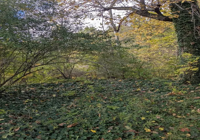 Photo 3 of Land for sale at 66991 Winding River Rd, Constantine, MI 49042 | MLS# 70501586 | Listing updated on 2026-04-24