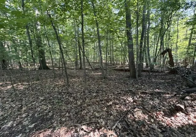 Photo 1 of Land for sale at W Cherry St, Ludington, MI 49431 | MLS# 70555277 | Listing updated on 2026-09-28