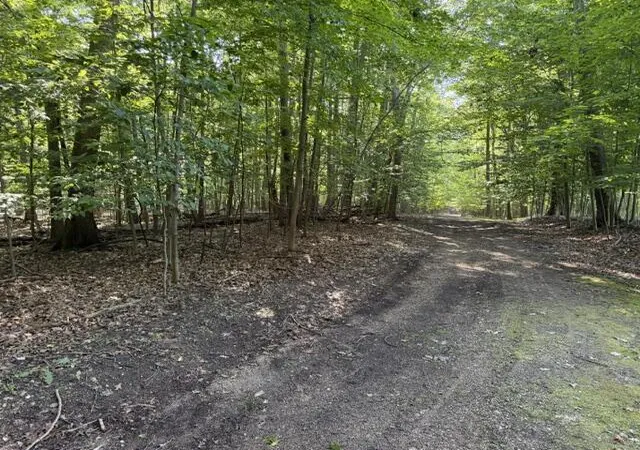 Photo 3 of Land for sale at W Cherry St, Ludington, MI 49431 | MLS# 70555277 | Listing updated on 2026-09-28