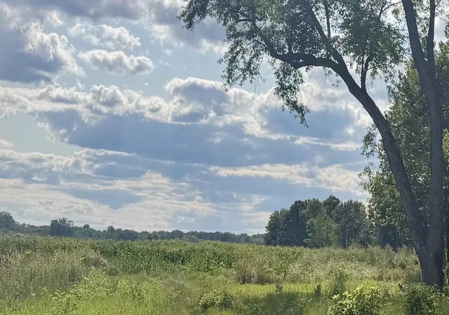 Photo 2 of Land for sale at 0 Peterson Rd, Beaverton, MI 48612 | MLS# 50215894 | Listing updated on 2026-07-23