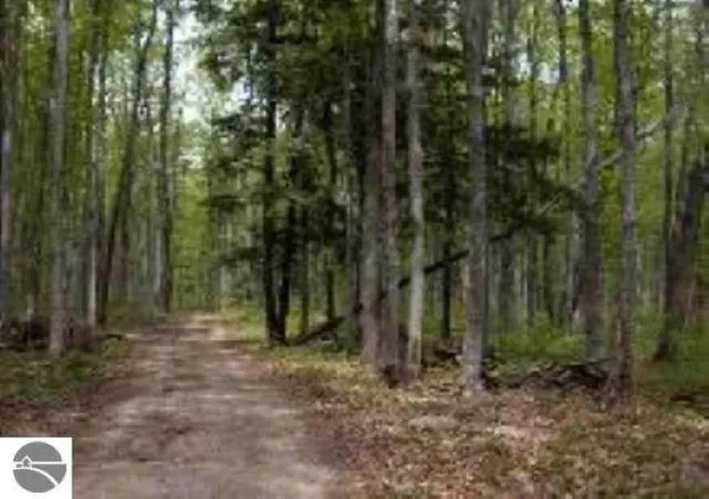 Homes for sale in Kalkaska, MI | 0 Cunningham Rd, Kalkaska, MI 49646 | MLS# 80066928