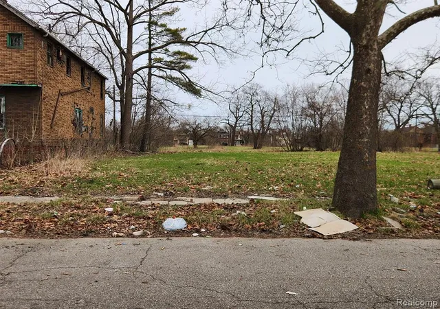 Homes for sale in Detroit, MI | 1508 Gray St, Detroit, MI 48215 | MLS# 60395930