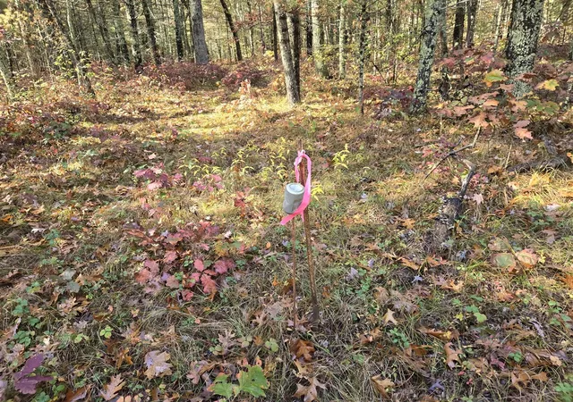 Photo 3 of Sale Pending at V/l W Coolidge, Bitely, MI 49309 | MLS# 70500608 | Listing updated on 2025-11-20