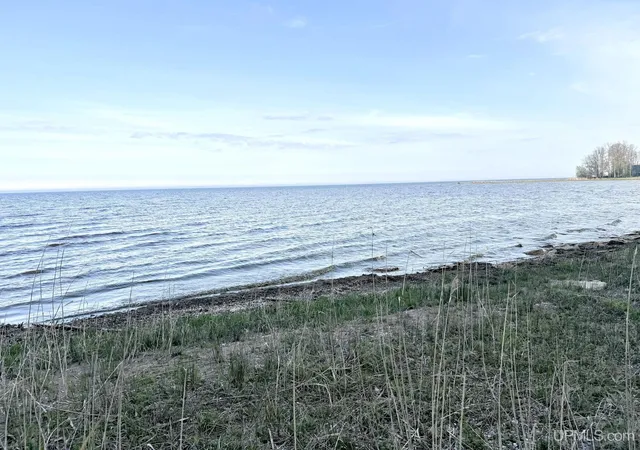 Homes for sale in Menominee, MI | Tbd Lot 1 M-35 Hwy, Menominee, MI 49858 | MLS# 50208393