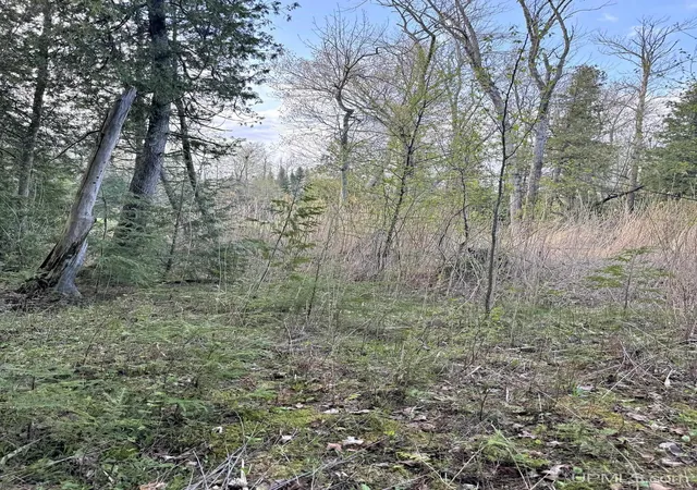 Homes for sale in Menominee, MI | Tbd Lot 1 M-35 Hwy, Menominee, MI 49858 | MLS# 50208393