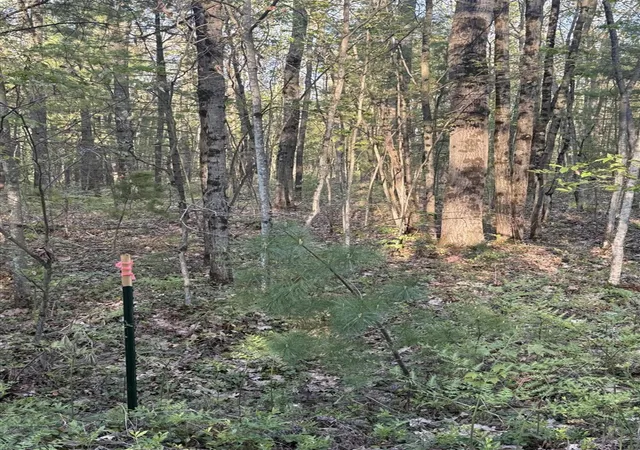 Land for sale at N Woodland Ave, Bitely, MI 49309 | MLS# 70543441