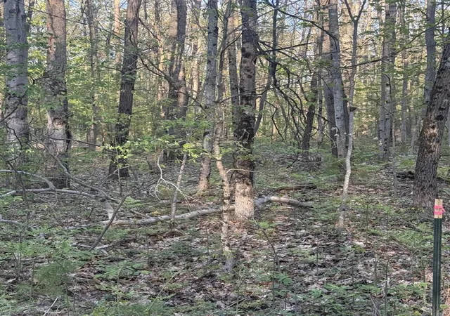 Photo 2 of Land for sale at N Woodland Ave, Bitely, MI 49309 | MLS# 70543441 | Listing updated on 2026-07-31