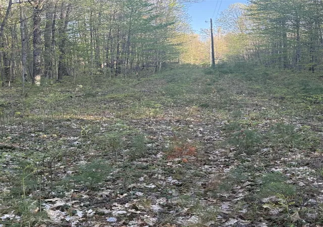 Photo 3 of Land for sale at N Woodland Ave, Bitely, MI 49309 | MLS# 70543441 | Listing updated on 2026-07-31