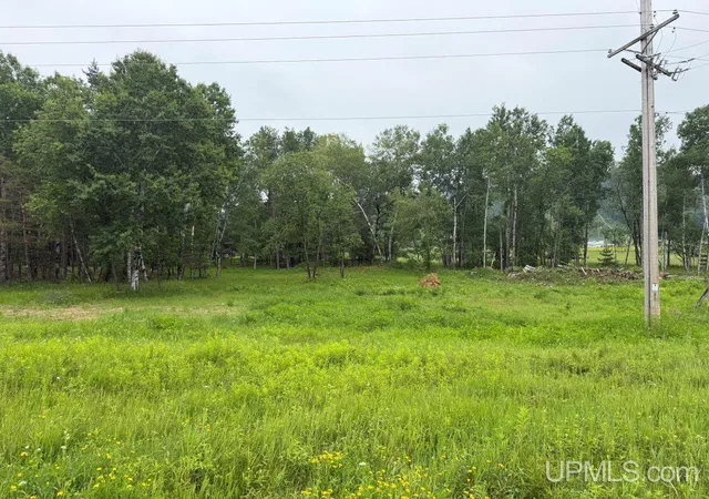 Homes for sale in Iron Mountain, MI | Tbd Bellagomba Rd, Iron Mountain, MI 49801 | MLS# 50213706