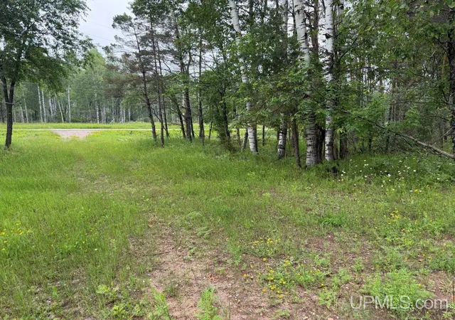 Homes for sale in Iron Mountain, MI | Tbd Bellagomba Rd, Iron Mountain, MI 49801 | MLS# 50213706