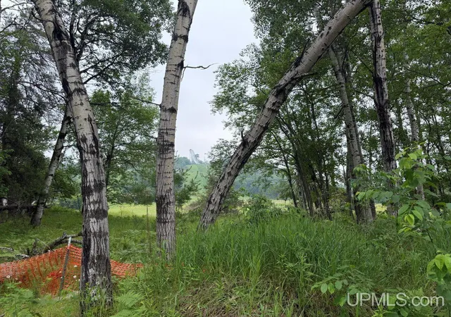 Homes for sale in Iron Mountain, MI | Tbd Bellagomba Rd, Iron Mountain, MI 49801 | MLS# 50213706