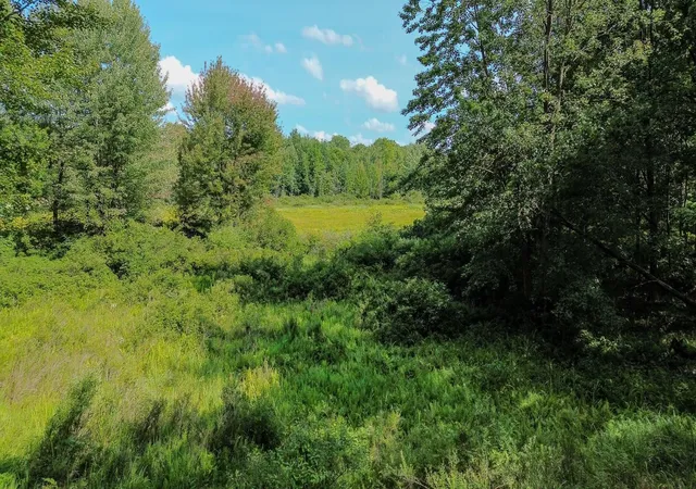 Photo 3 of Land for sale at 00 Ctr Fireline Trl, Beaverton, MI 48612 | MLS# 50218951 | Listing updated on 2026-08-18