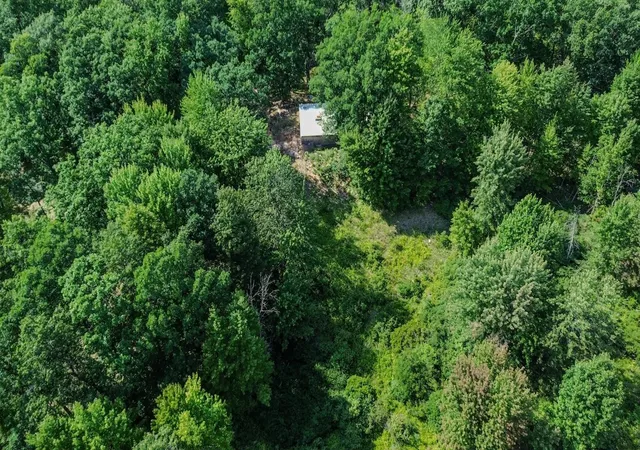 Photo 3 of Land for sale at 00 Ctr Fireline Trl, Beaverton, MI 48612 | MLS# 50218951 | Listing updated on 2026-08-18