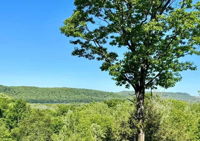 Homes for sale in Maple City, MI | Lot 9 W Harbour Rdg, Maple City, MI 49664 | MLS# 80070473
