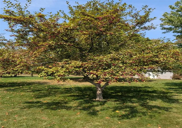 5th image of 752 Pasadena Dr, Owosso, MI 48867 | MLS# 70496405