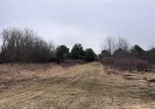 Photo 2 of Land for sale at Vl Washington St, Perry, MI 48872 | MLS# 60978166 | Listing updated on 2026-08-19