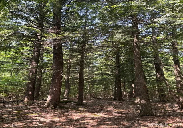 13th image of Off Brown Deer Rd, Marquette, MI 49855 | MLS# 50180386