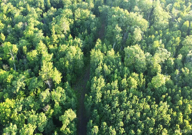 Photo 3 of Land for sale at Off Brown Deer Rd, Marquette, MI 49855 | MLS# 50180386 | Listing updated on 2025-07-04