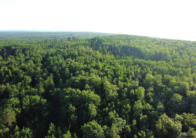 Photo 3 of Land for sale at Off Brown Deer Rd, Marquette, MI 49855 | MLS# 50180386 | Listing updated on 2025-07-04