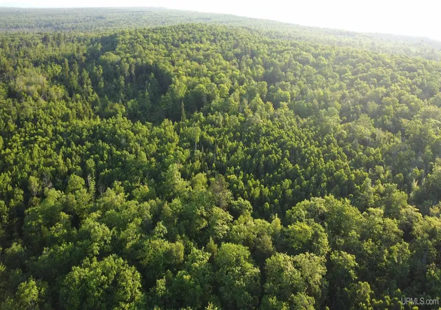 Photo 4 of Land for sale at Off Brown Deer Rd, Marquette, MI 49855 | MLS# 50180386 | Listing updated on 2025-07-04
