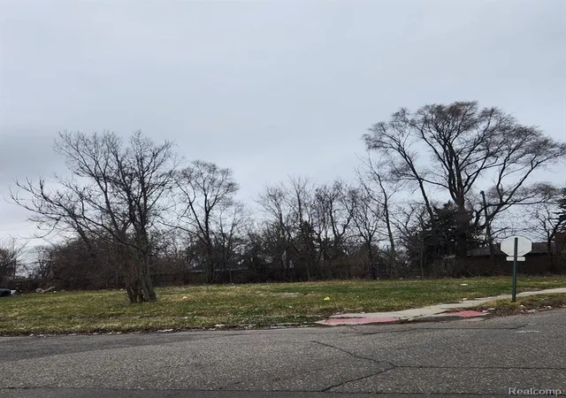 Photo 1 of Land for sale at 5500 Talbot St, Hamtramck, MI 48212 2814 | MLS# 60334888 | Listing updated on 2026-08-26