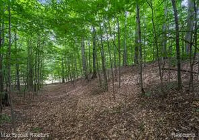 Homes for sale in Empire, MI | 0000 Mackinaw Rdg, Empire, MI 49630 | MLS# 61009062