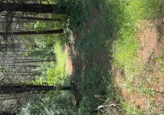 27th image of Vl Riverbend Ct, Oscoda, MI 48750 | MLS# 61010571