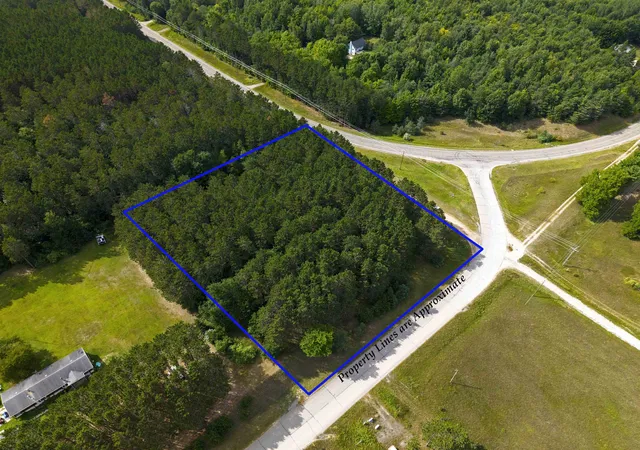 5th image of 0000 Nw Dundas Rd, Alden, MI 49612 | MLS# 80072785