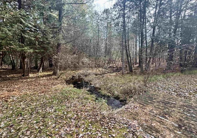 Homes for sale in Farwell, MI | 421 W Washington Rd, Farwell, MI 48622 | MLS# 50212076