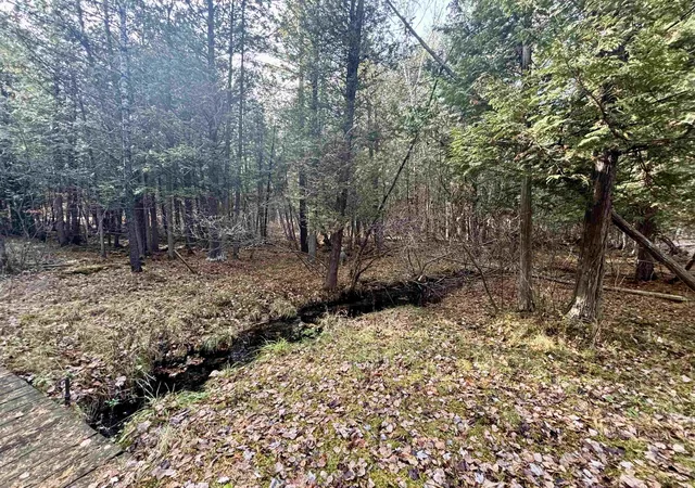 Homes for sale in Farwell, MI | 421 W Washington Rd, Farwell, MI 48622 | MLS# 50212076