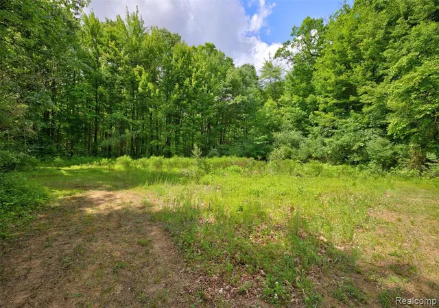 65th image of 13252 Dixie Hwy, Holly, MI 48442 | MLS# 61004110
