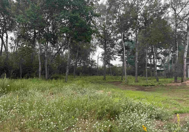 Photo 2 of Land for sale at 415 S 32nd Street, Escanaba, MI 49829 | MLS# 50214784 | Listing updated on 2026-07-16