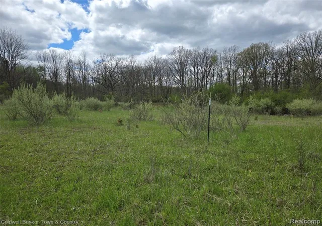 2nd image of 00000 E Northfield Church Rd, Whitmore Lake, MI 48189 | MLS# 60988463
