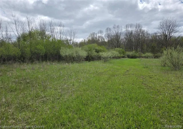 3rd image of 00000 E Northfield Church Rd, Whitmore Lake, MI 48189 | MLS# 60988463